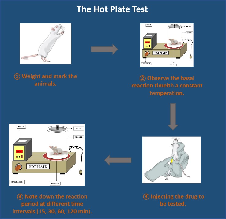 Analgesic activity research of drugs by hot plate test.