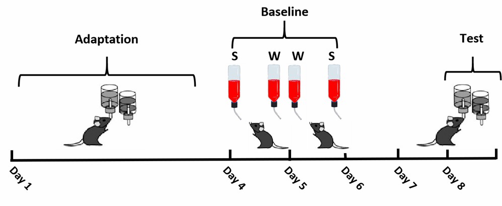 Fig. 1 Schematic diagram of sucrose preference test - Our company.