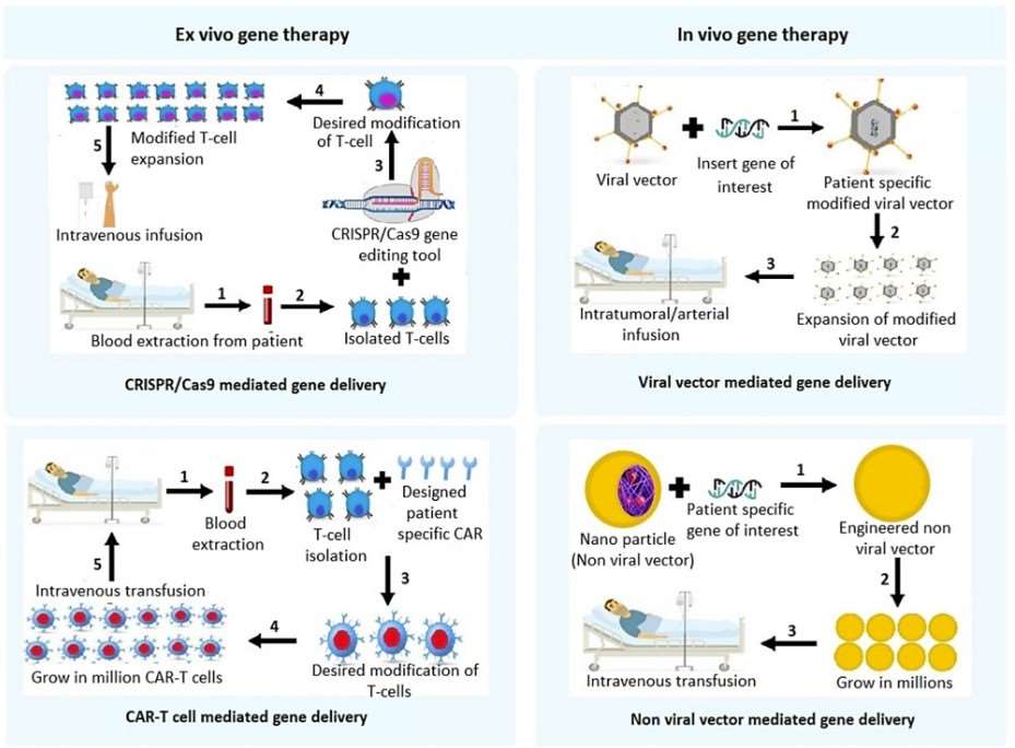 Fig.2 An overview of therapeutic techniques for HCC.