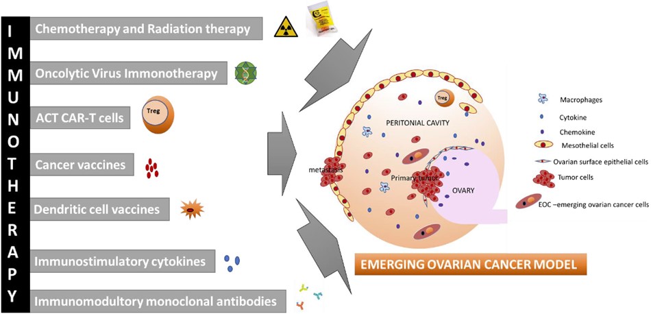 Fig.2 Emerging immunotherapies for ovarian cancer.
