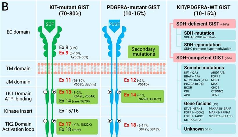 The genomic distribution of GIST.