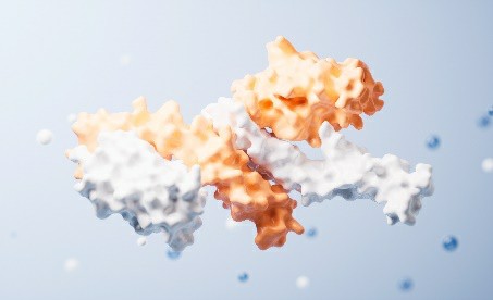 Therapeutic Protein Development