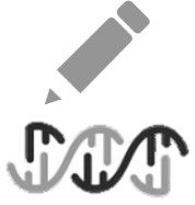 Analysis service scheme