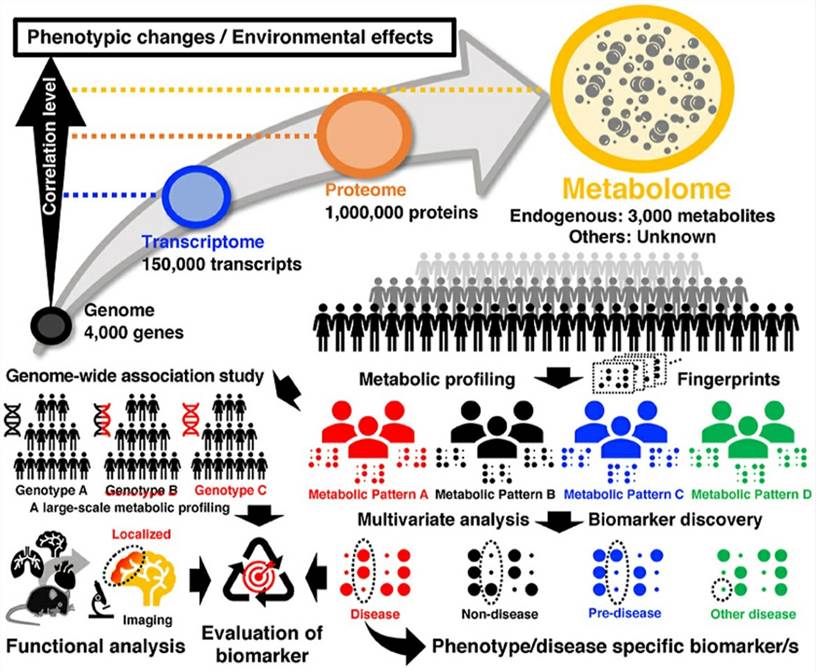 Metabolomics Analysis Service-1