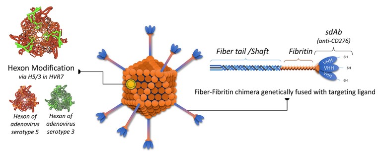 Genetic Incorporation-based Viral Vector Development Platform-1