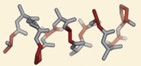 2-1-4-5 Peptidomimetics Development Platform-3