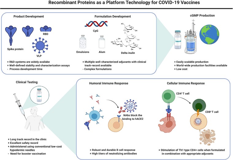 Recombinant Protein Development Platform-1