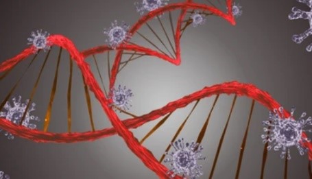 Characterization of Gene Therapy Viral Vectors