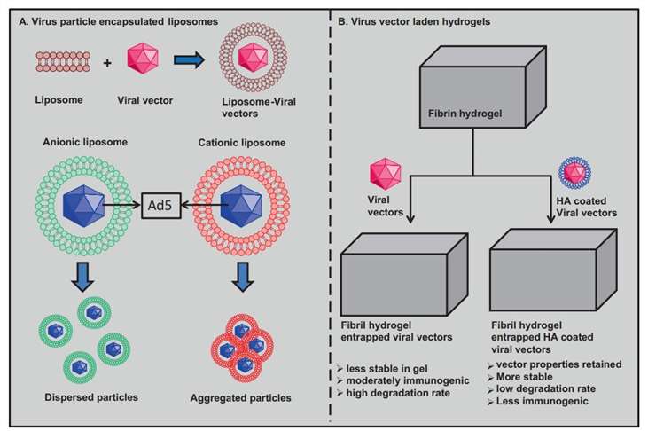 Fig. 1 Hybrid viral nanoparticles.