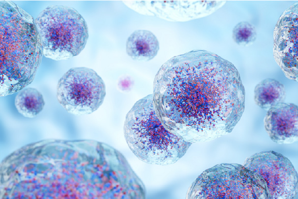 Cell Therapy Development