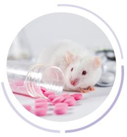 Animal Model Development Services